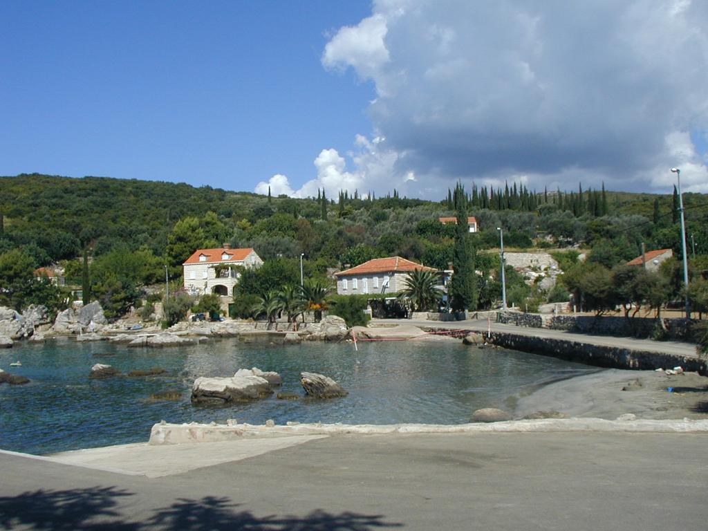 Molunat