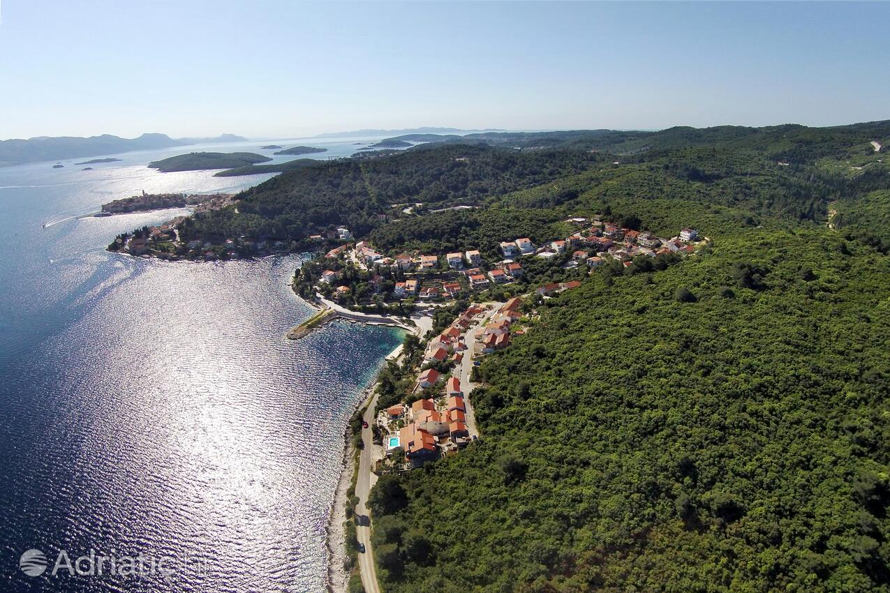 Medvinjak