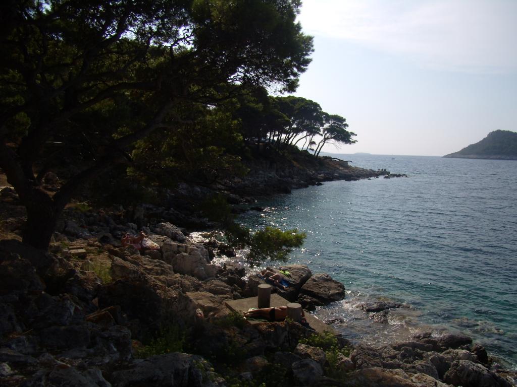 Rt Zaglav