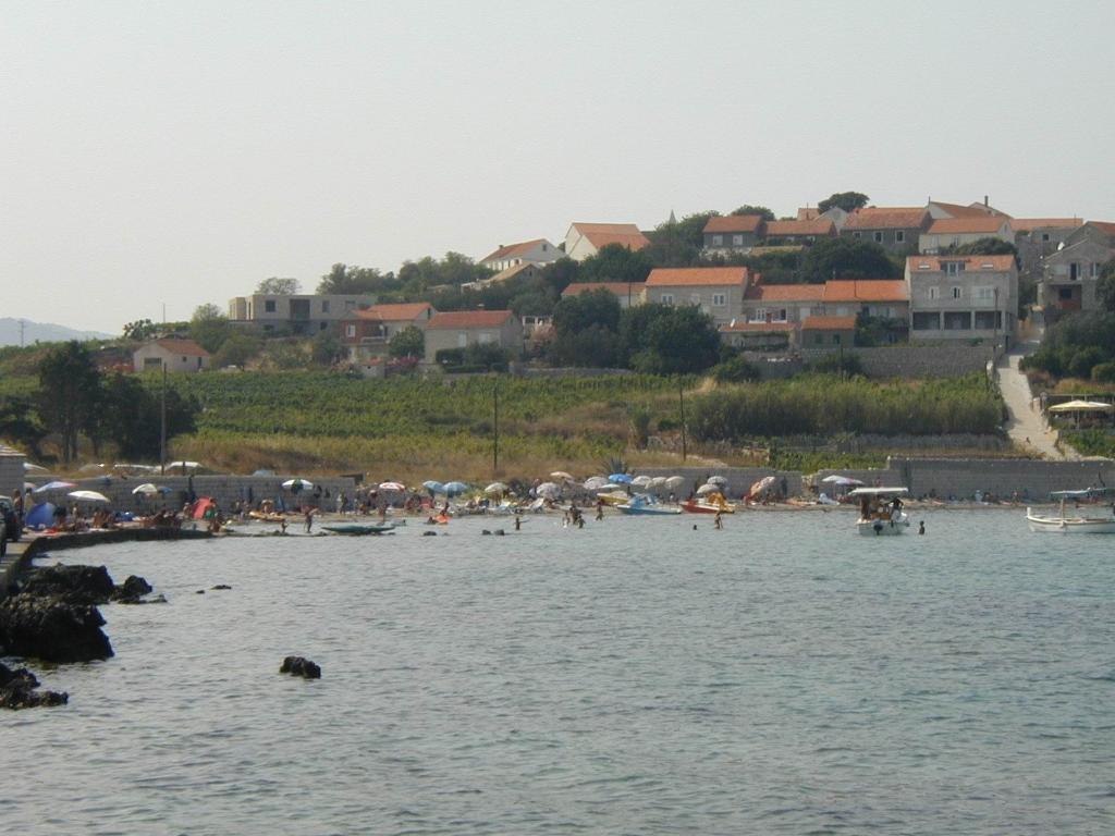 Bilin žal