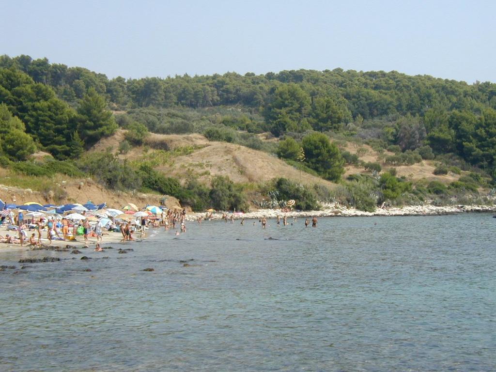 Uvala Pržina