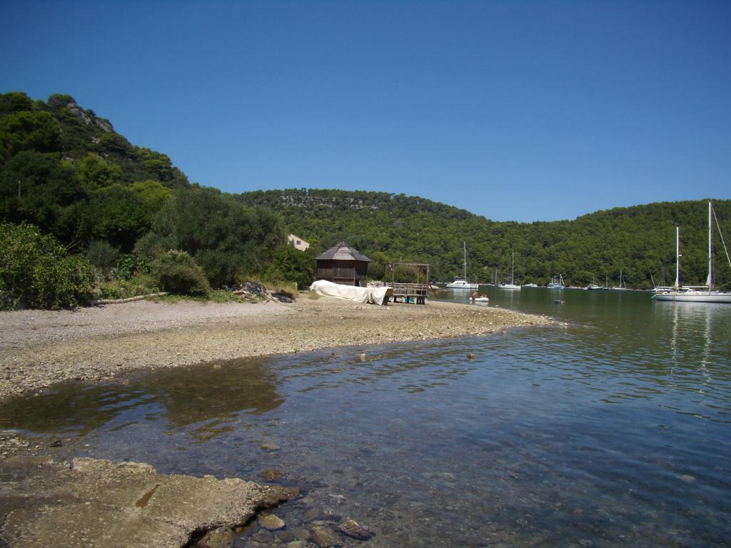 Polače