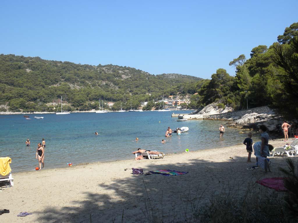Saplunara