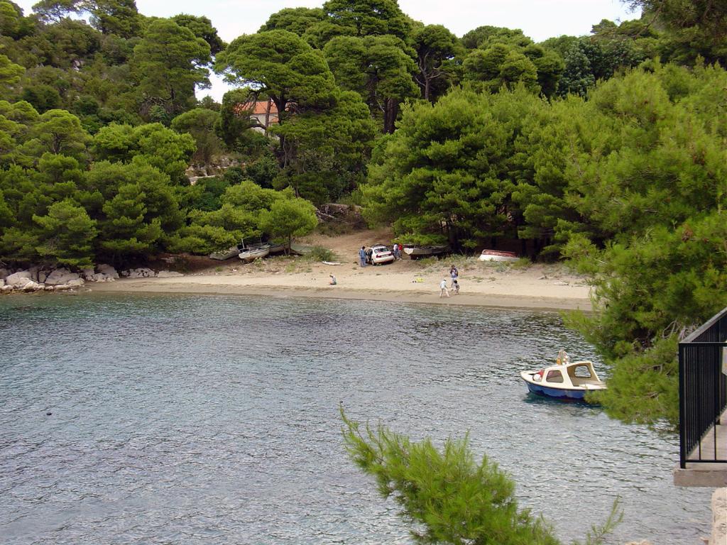 Saplunara