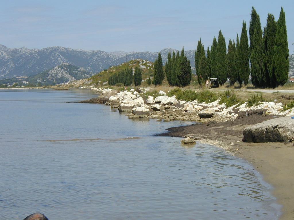 Ušće