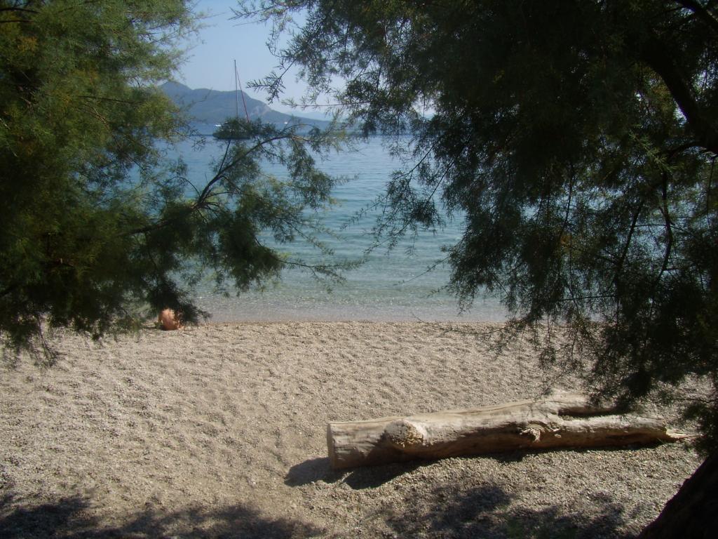 Trstenik