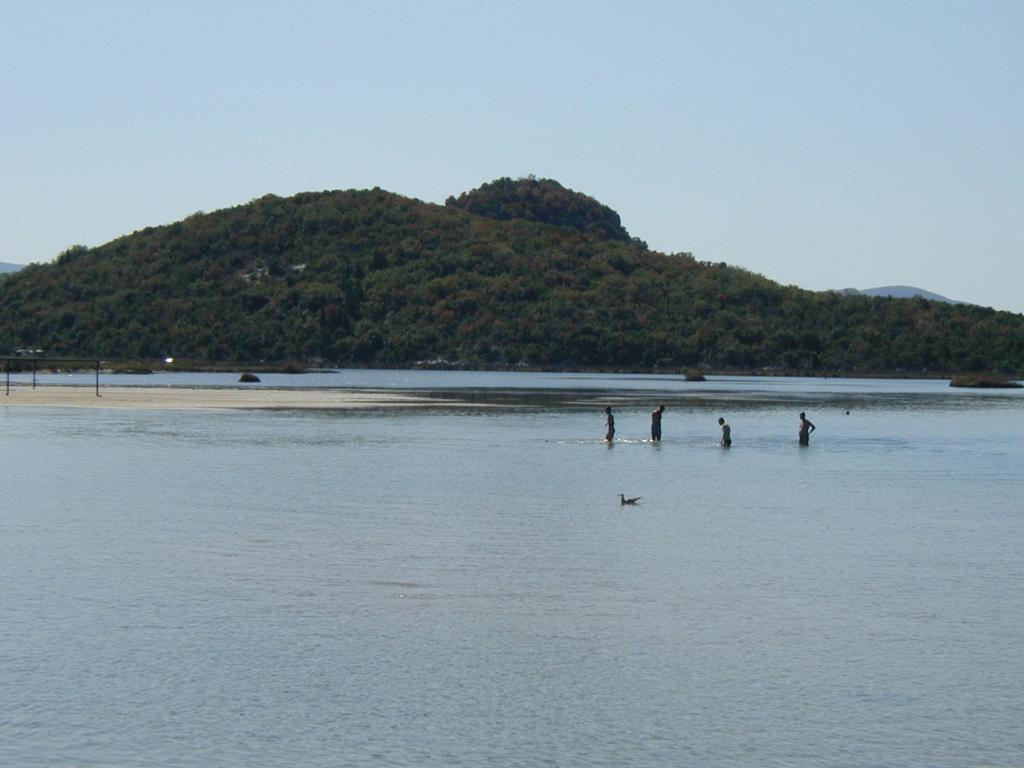 Ušće