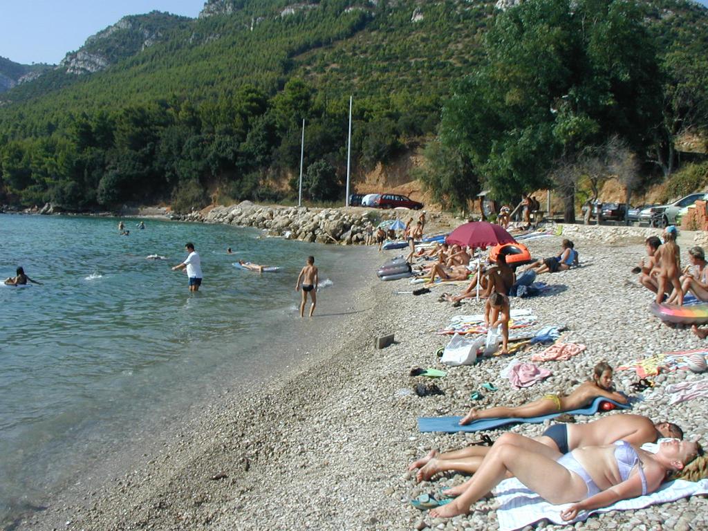 Žuljana
