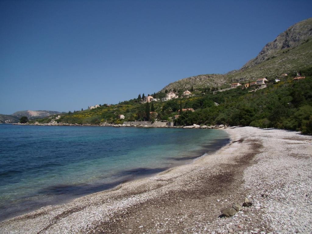 Smokovjenac - Plat