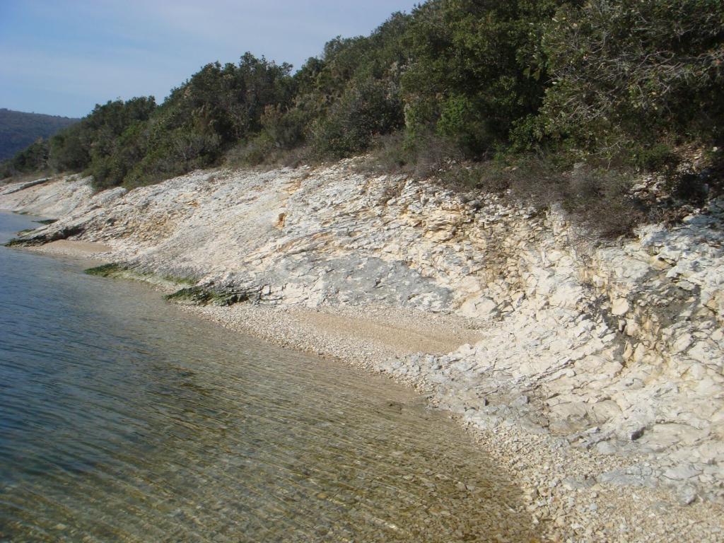 Barban - Blaz