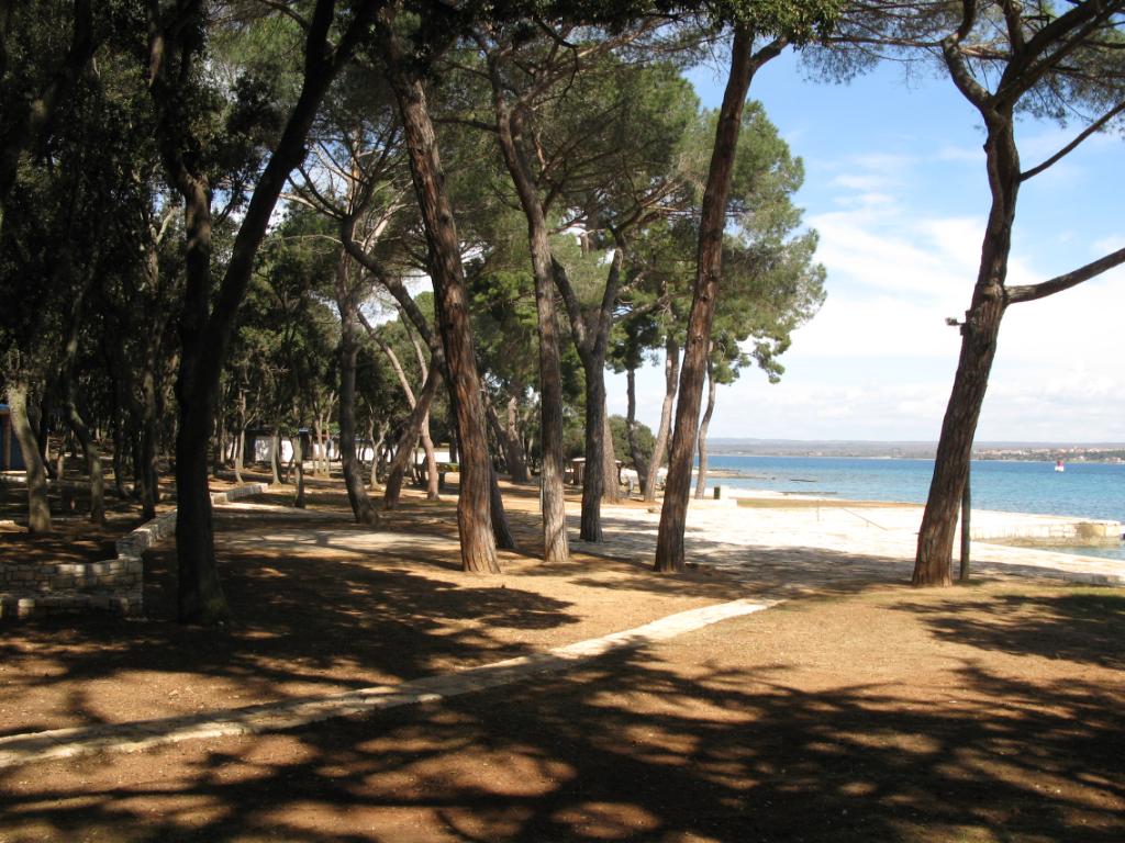 Nacionalni park Brijuni - Centralna plaža - drveni molo