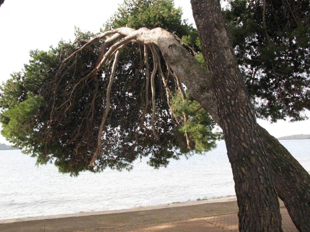 Valbandon - Plaža