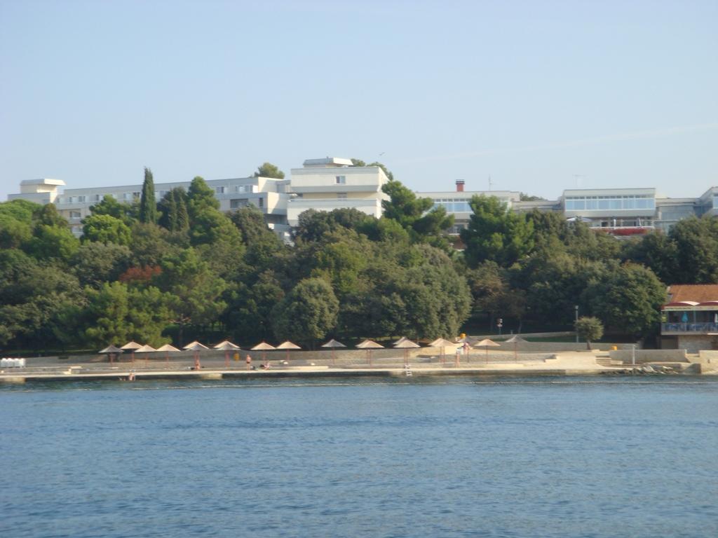 Hotel Delfin - Ispod hotela