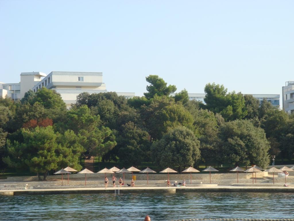 Hotel Delfin - Ispod hotela