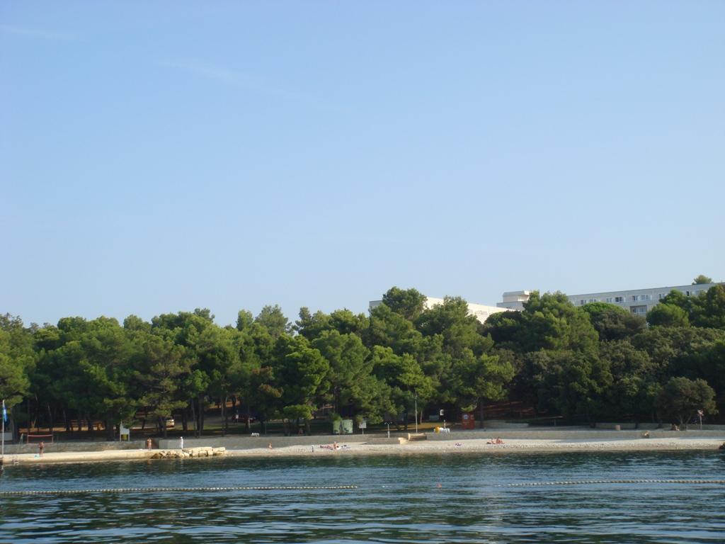 Hotel Delfin - Ispod hotela