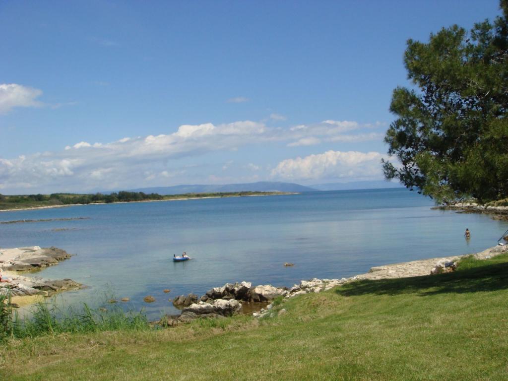 Salbunić