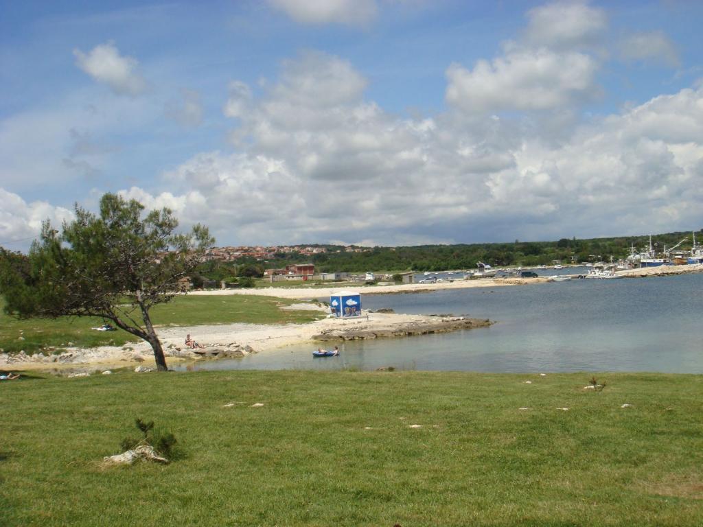Salbunić