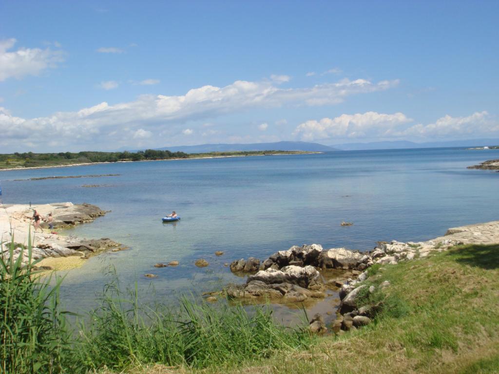 Salbunić