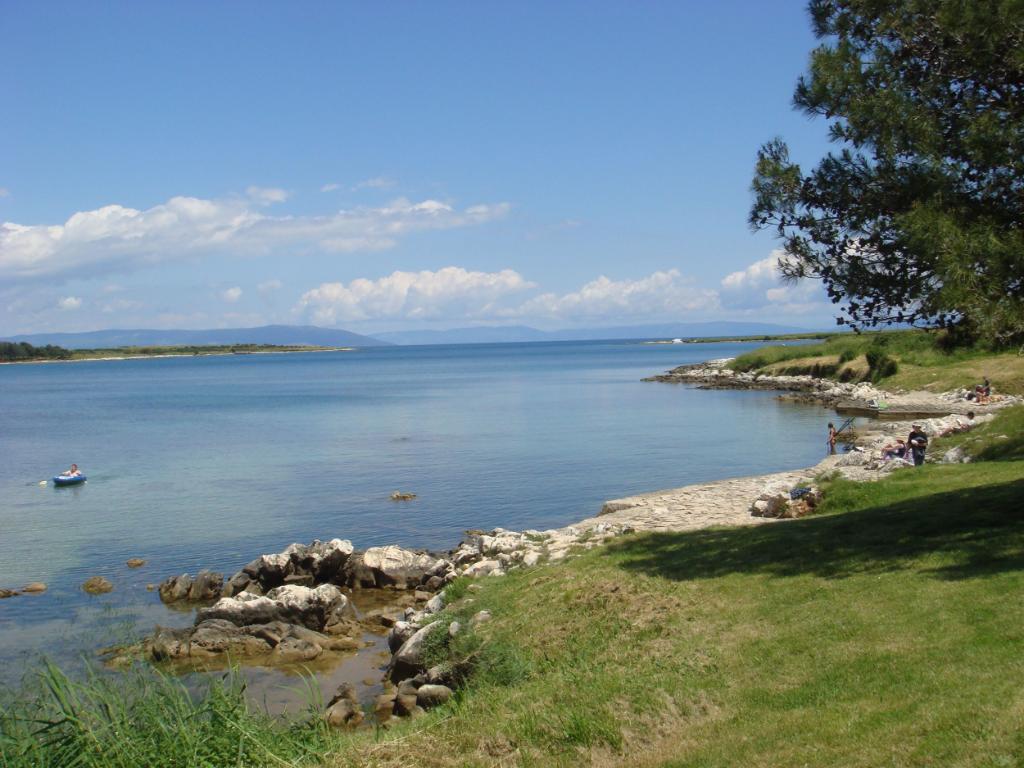 Salbunić