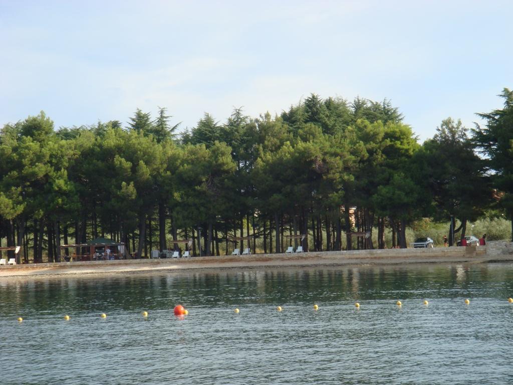 Novigrad - Karpinjan