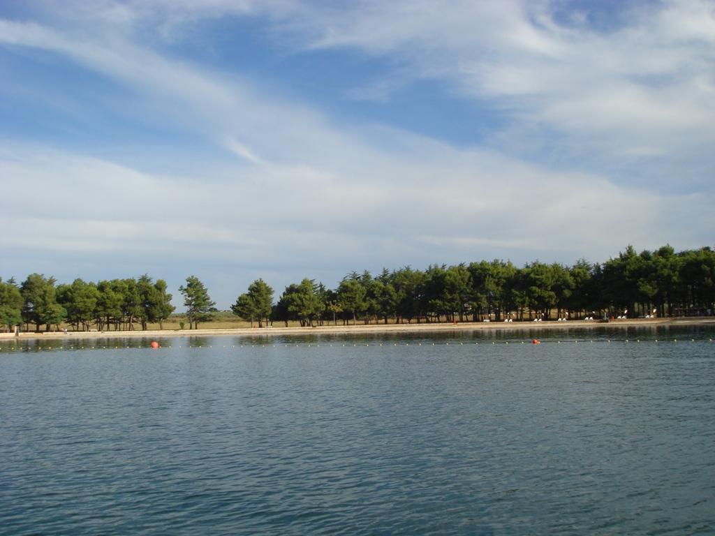 Novigrad - Karpinjan