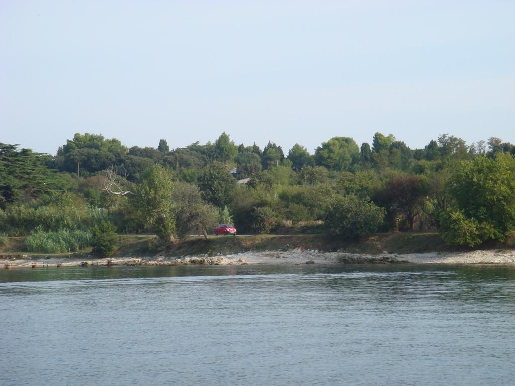 Valovine