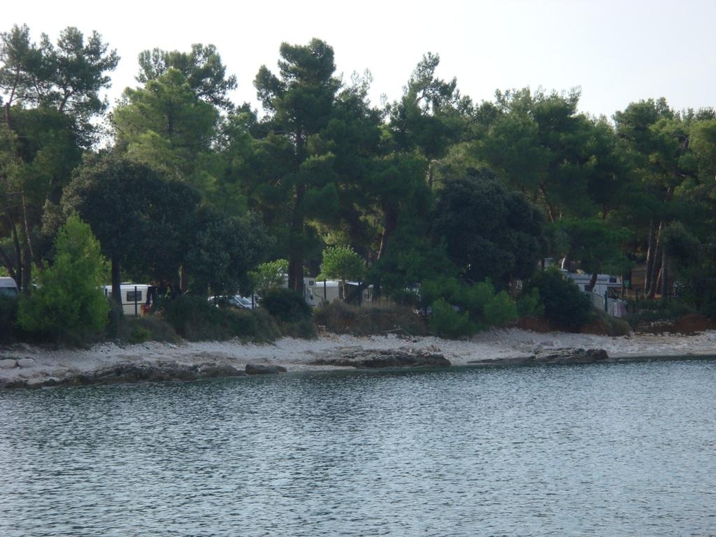 Valovine
