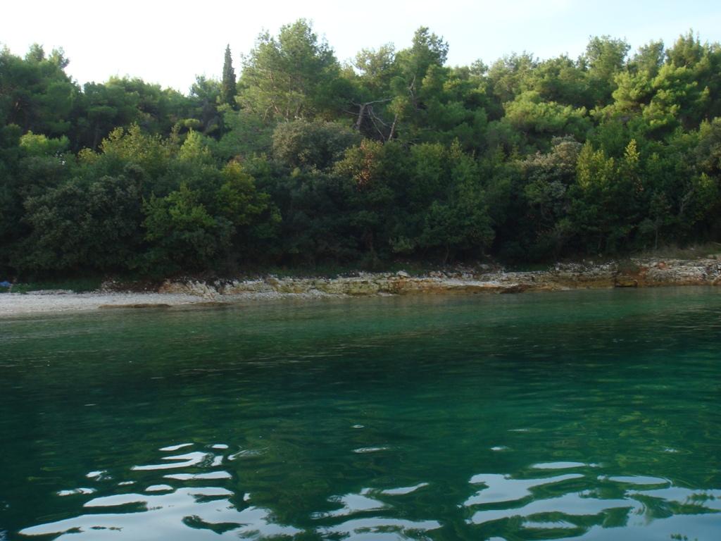 Valsaline - Uvala F.S.