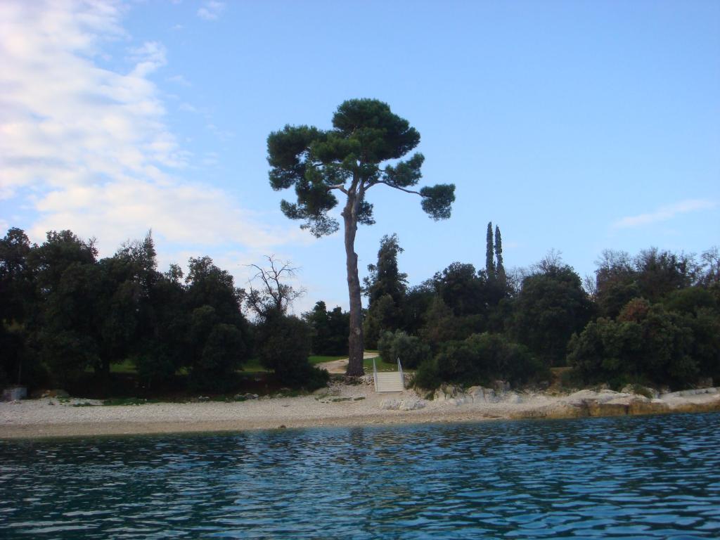 Crveni otok - Prema rtu Kurent