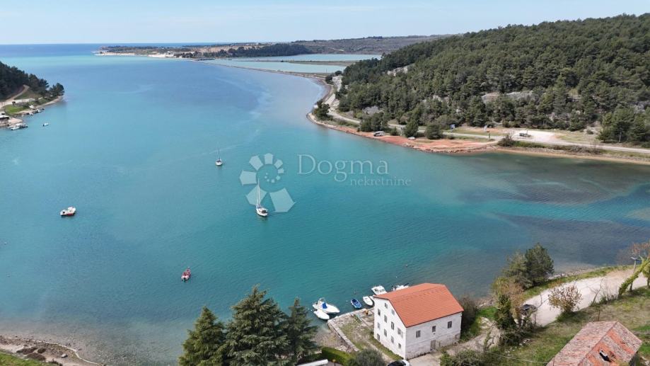 Tarska vala