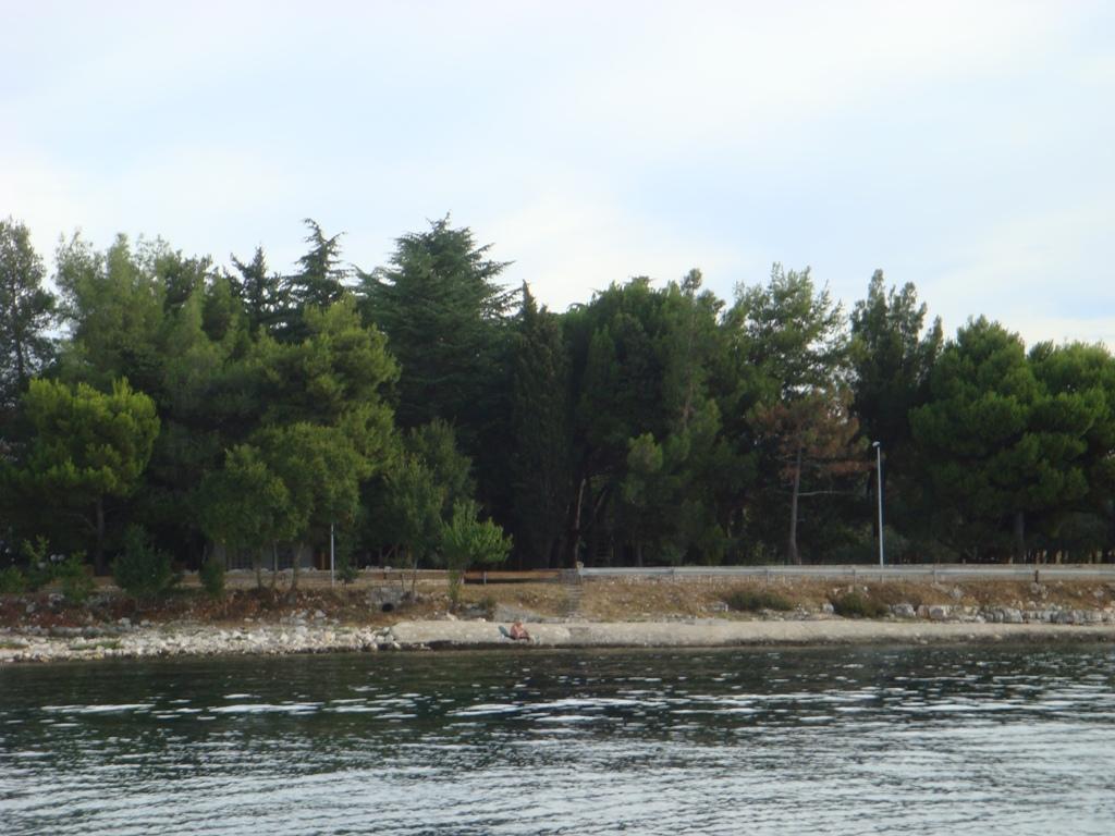 Lovrečica - Molo