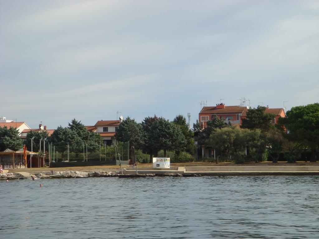Moela
