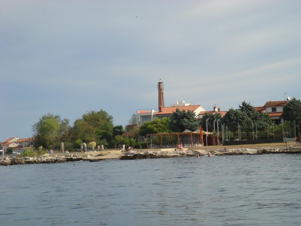Moela