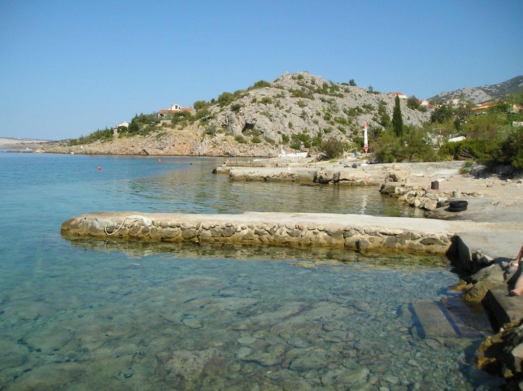 Ribarica