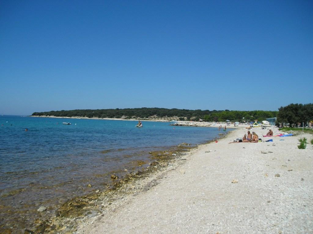 Braničevica