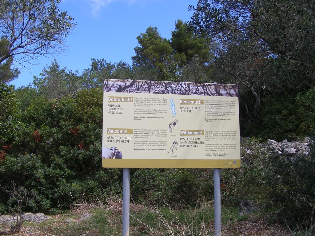 Uvala Gavza