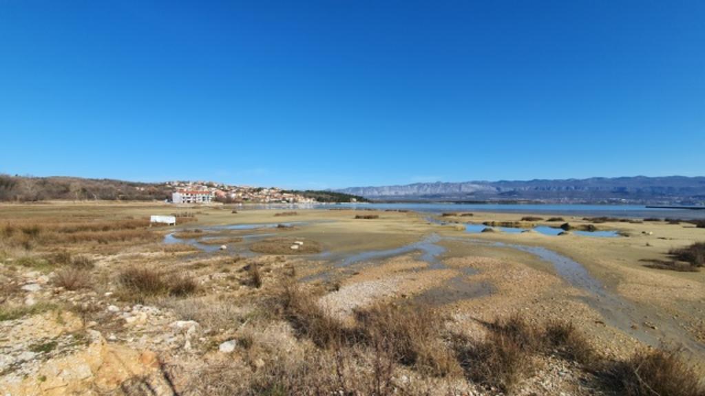 Čižići