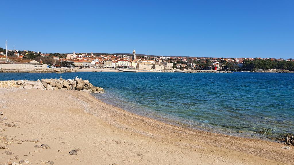 Porporela
