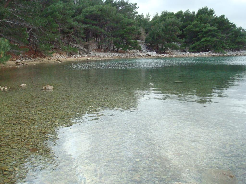 Uvala Trojna