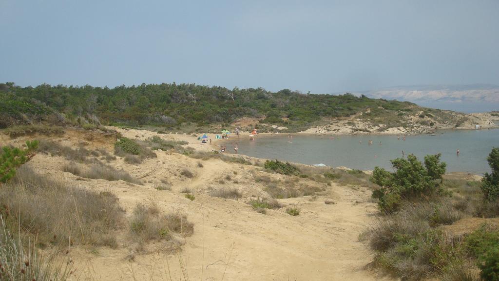 Ciganka
