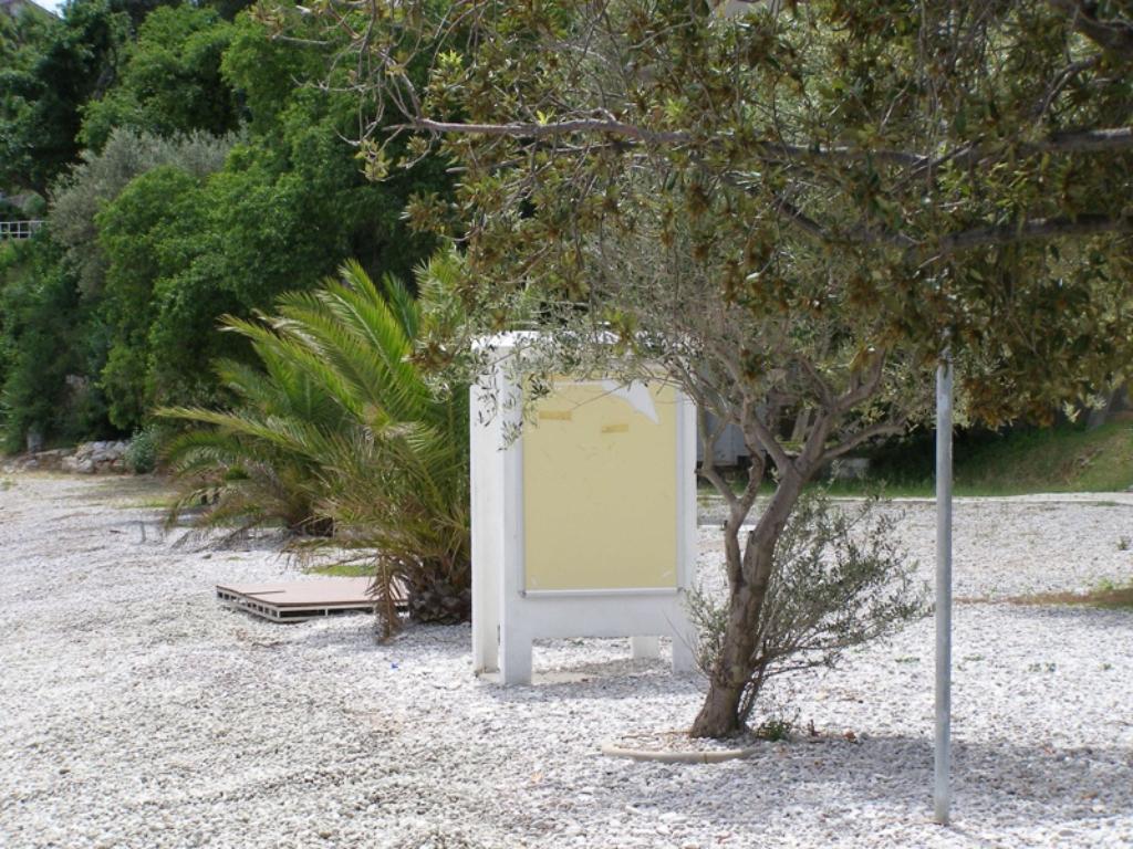 Medveja - kraj plaže