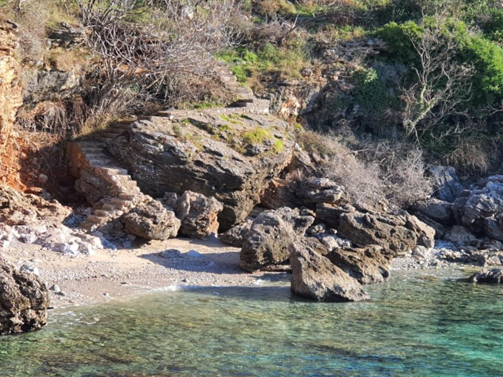 Kozica