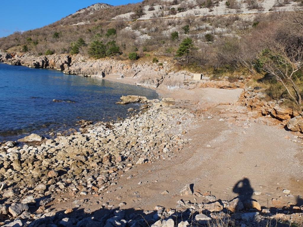 Kozica