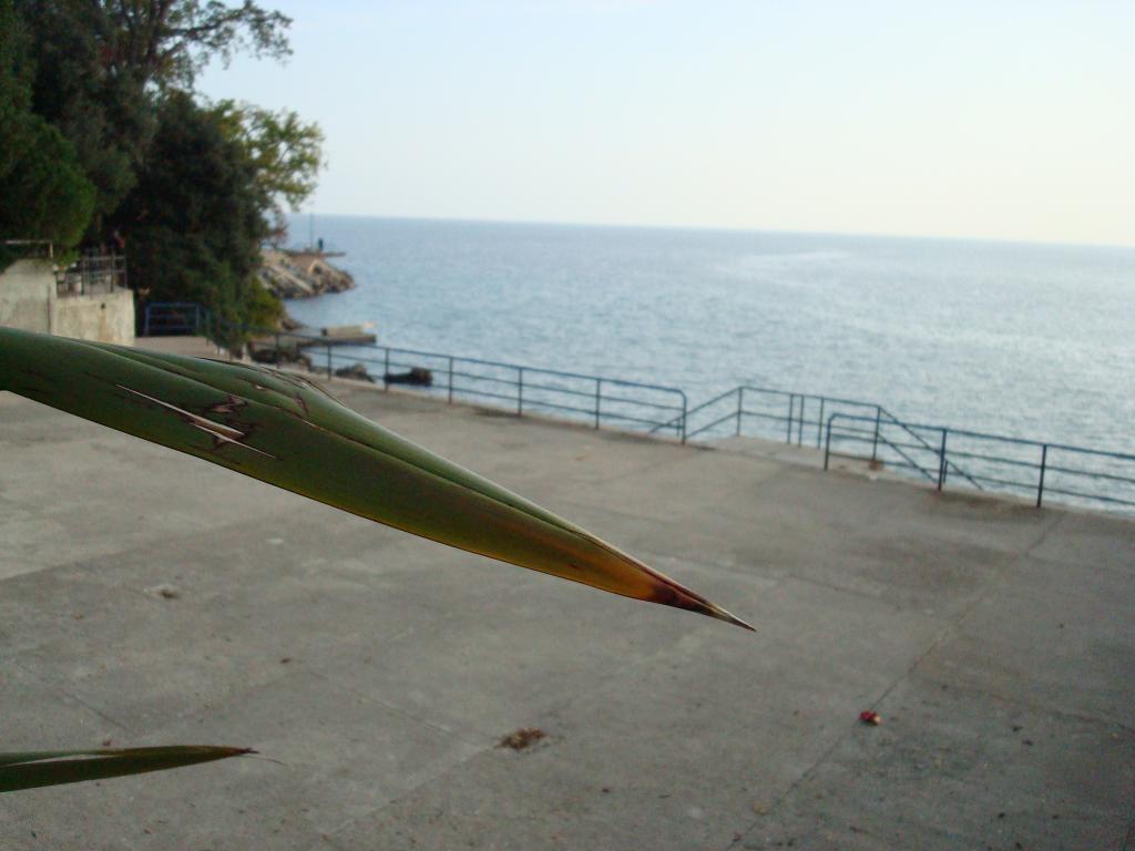 Kupalište Lido