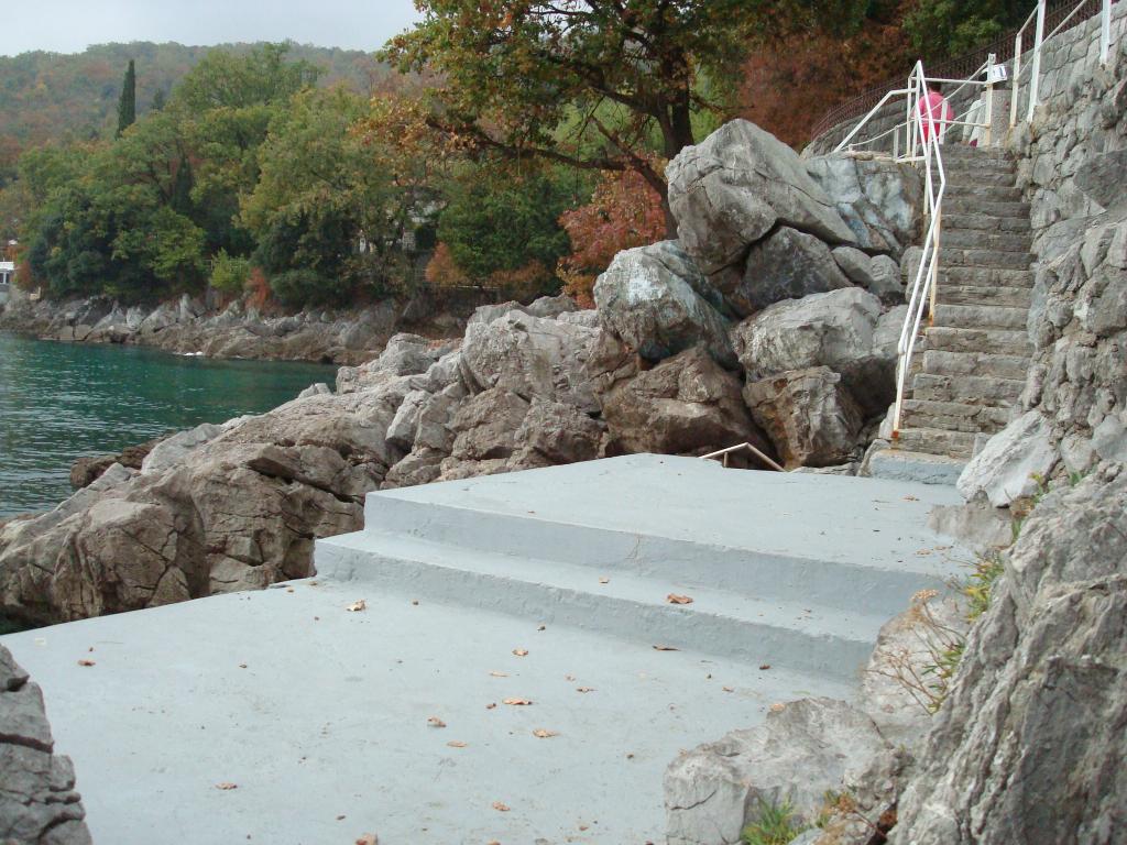 Zonovo