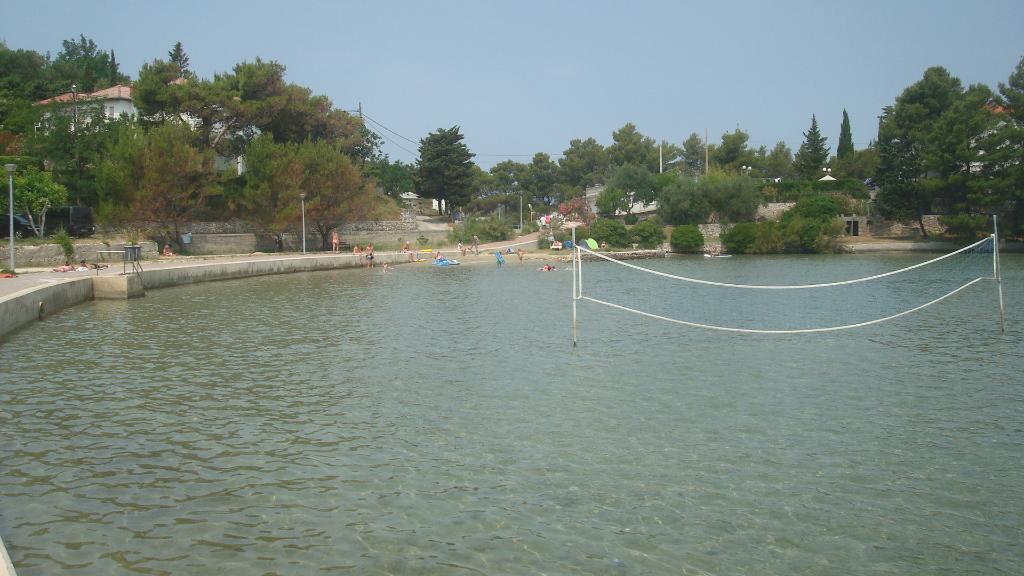 Dumići