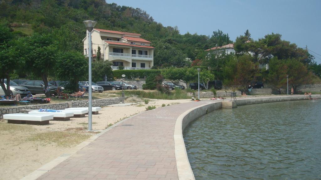 Dumići