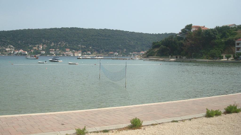 Dumići