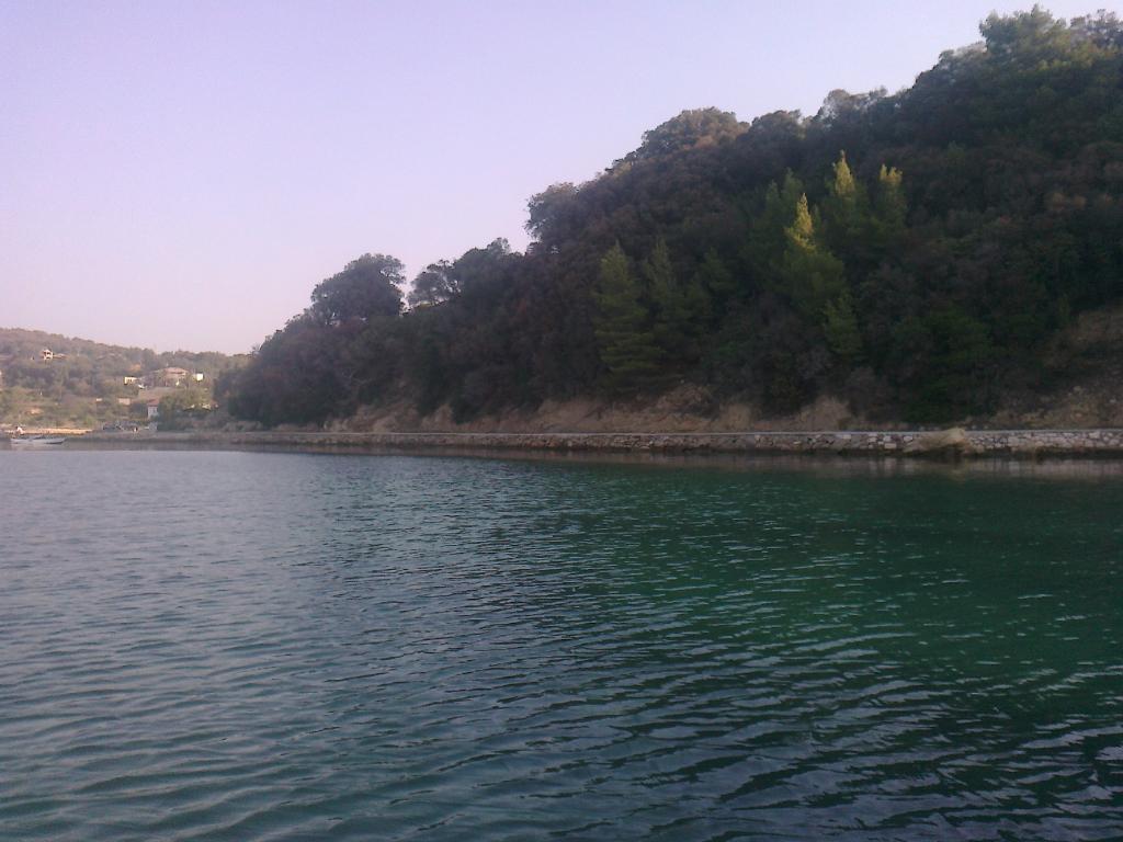 Gušići