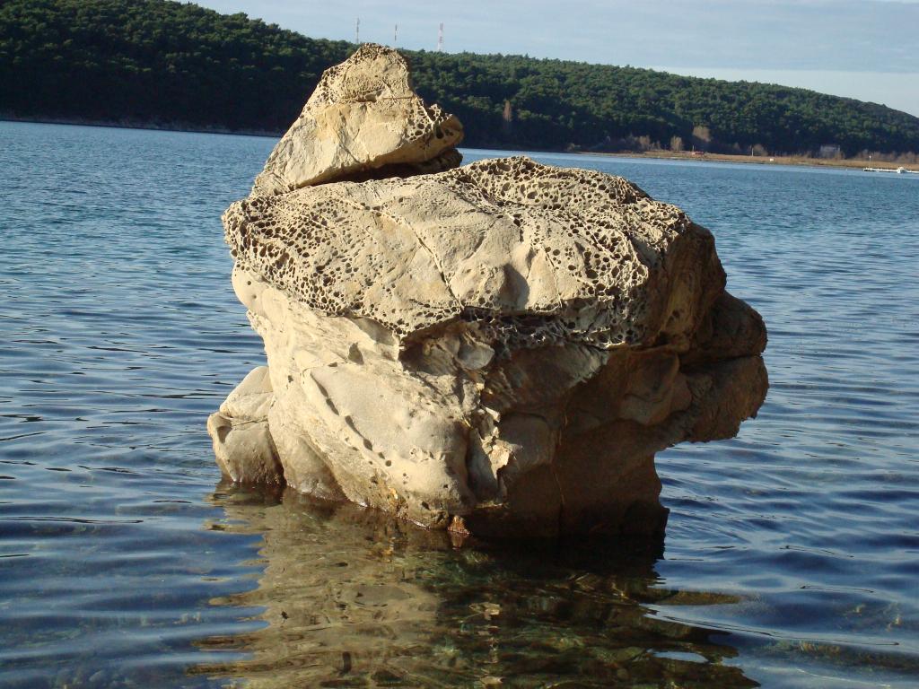 Gušići